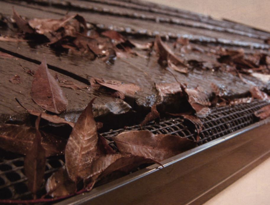 Sekisui｜セキスイ - MisakaZoo