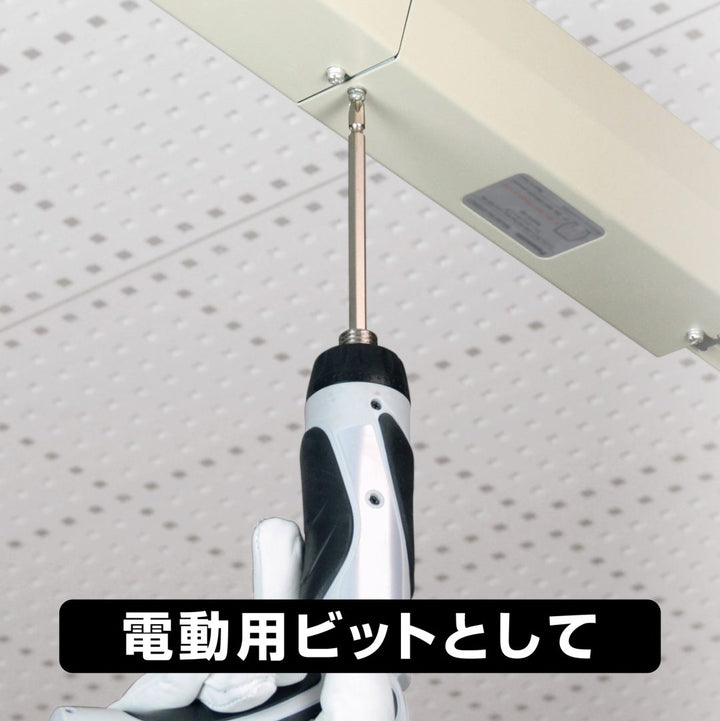 アネックス(Anex) 395-DB2S 差替＋ービット　2本組　＋2×－6×85 - MisakaZoo