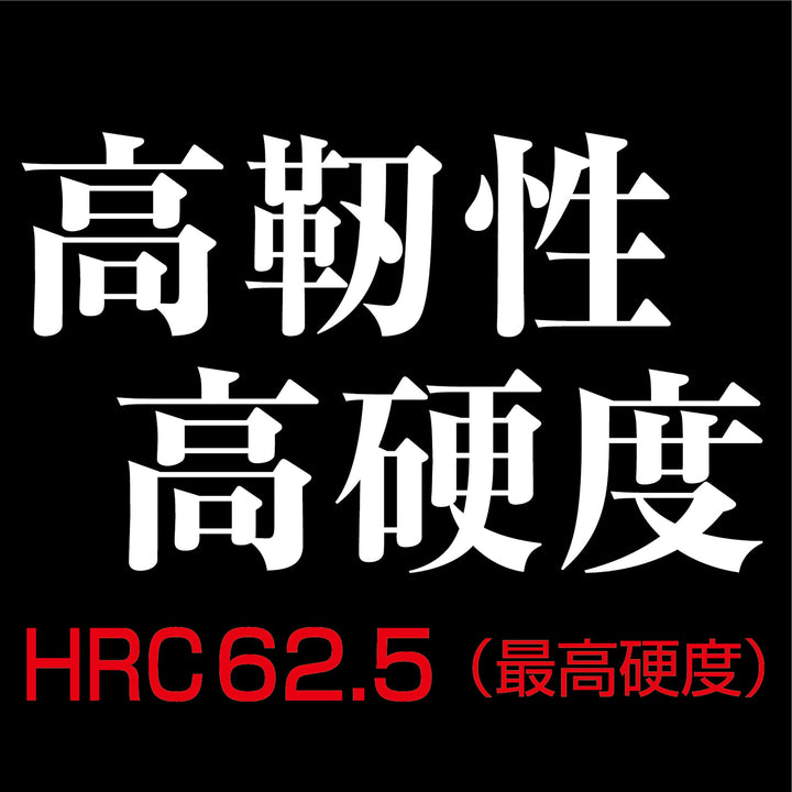 アネックス(Anex) ABRD5-2100 黒龍靭ビット 段付タイプ 5本組 ＋2×100 - MisakaZoo