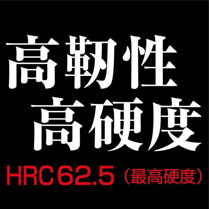 アネックス(Anex) ABRS-2130 黒龍靭ビット スリムタイプ 2本組 ＋2×130 - MisakaZoo