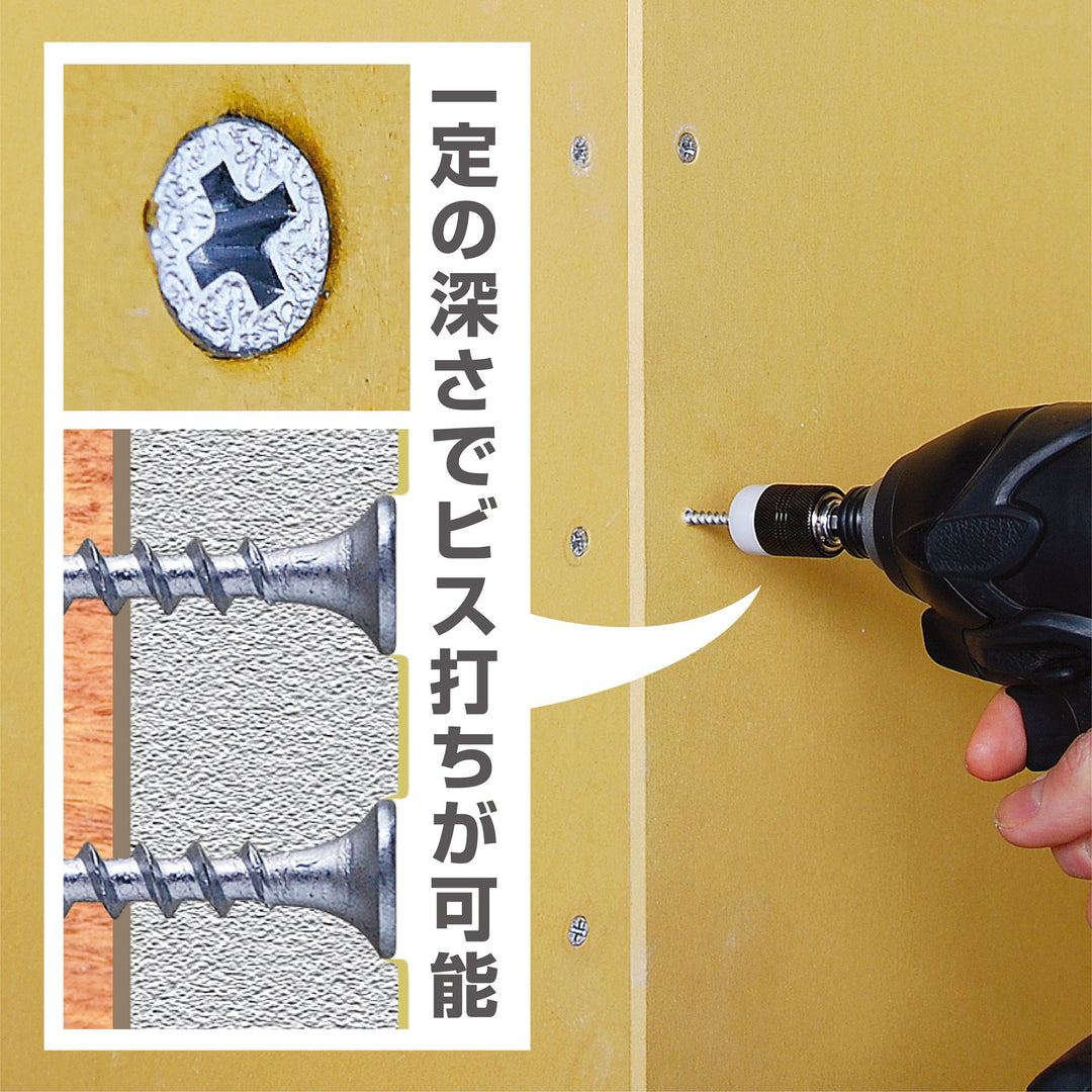 アネックス(Anex) ABS-2065 石膏ボード用ビスキャッチ＆ストップ ＋2×65両頭ビット - MisakaZoo