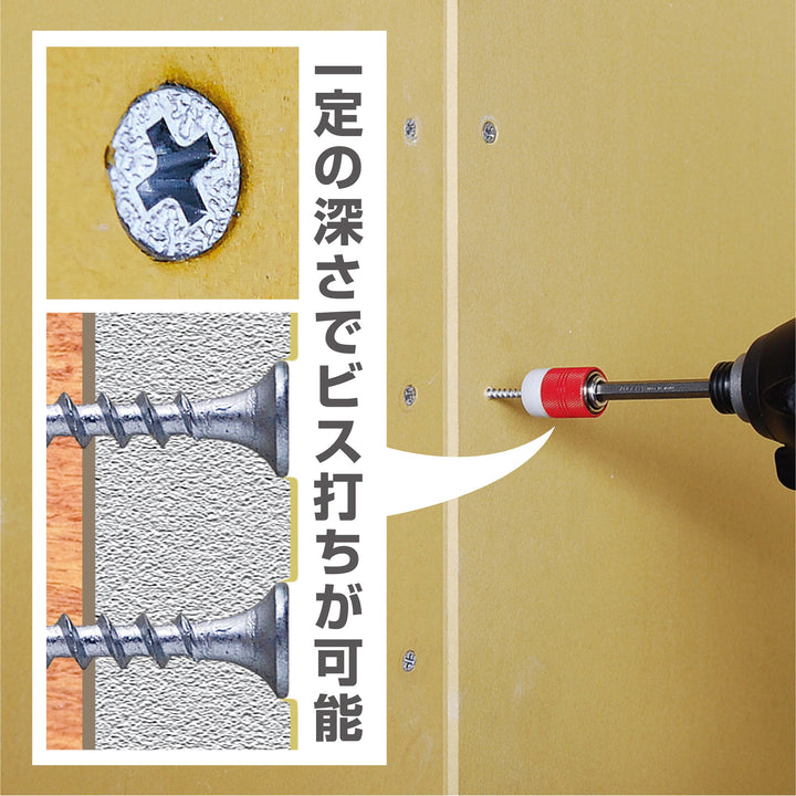 アネックス(Anex) ABS-2110 石膏ボード用ビスキャッチ＆ストップ ＋2×110両頭ビット - MisakaZoo