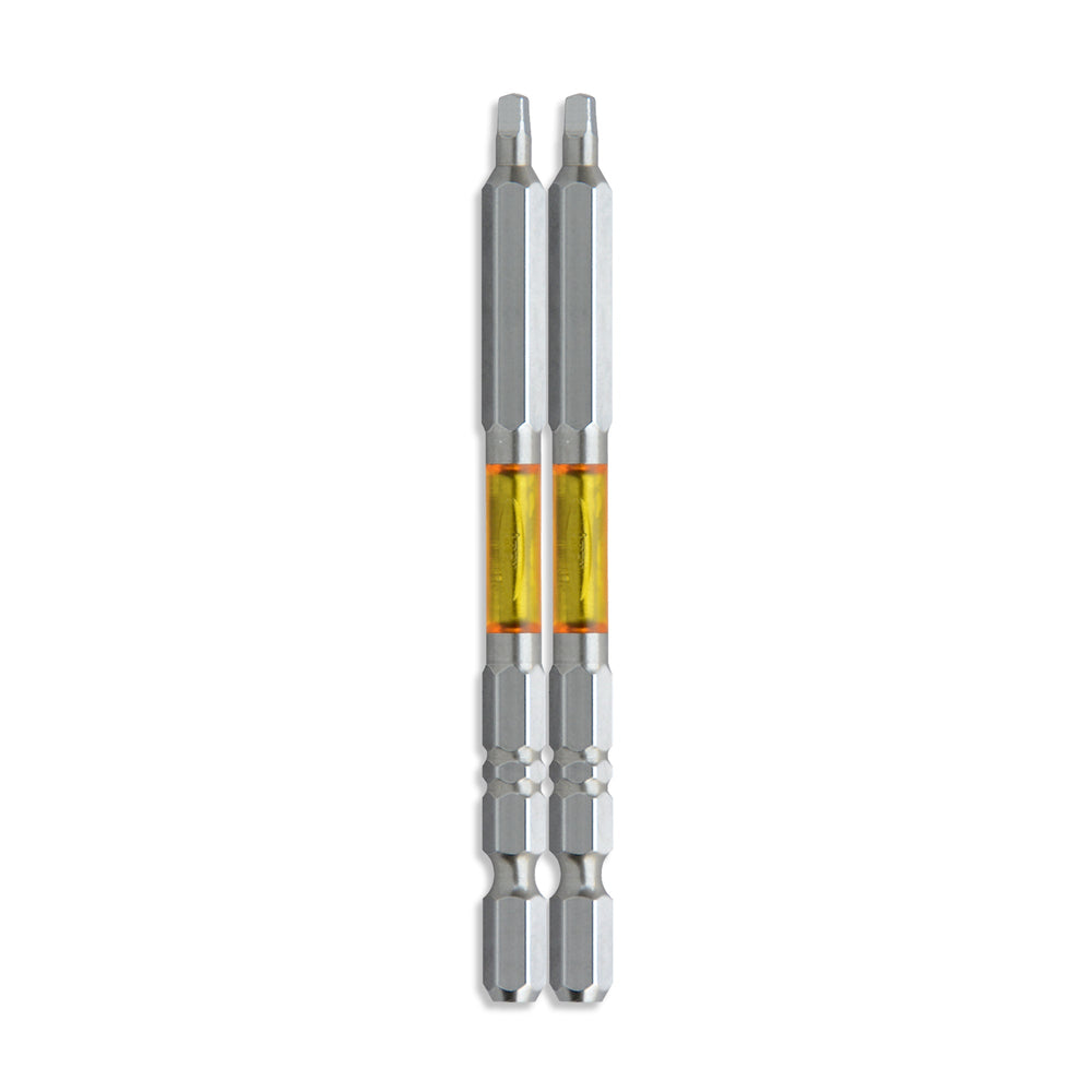 アネックス(Anex) ARS-2100 龍靭四角ビット 2本組 ■2×100 - MisakaZoo