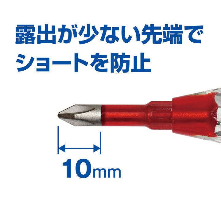 アネックス(Anex) AZM-1100 絶縁ビット 1本組 ＋1×100 - MisakaZoo