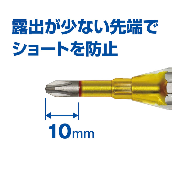 アネックス(Anex) AZM-2100 絶縁ビット 1本組 ＋2×100 - MisakaZoo
