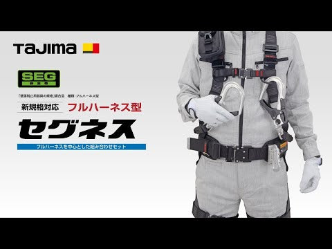 TAJIMA SEGNES501S〜SEGNES501L 動画