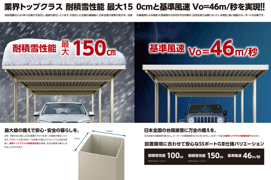 ダイセン(Daisen) カーポート SSポートGIII 耐積雪100cmタイプ