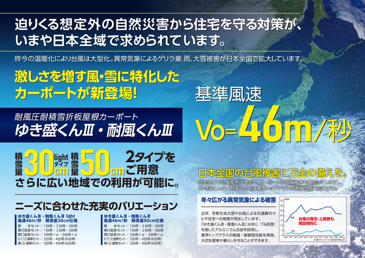 [サイズ5432mm x 4870mm] ダイセン(Daisen) カーポート ゆき盛くんIII・耐風くんIII  耐積雪50cmタイプ 基本セット 2台用